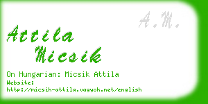 attila micsik business card